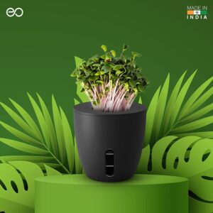 Terra - Self Watering Plant Pot As Corporate Gift in Bangalore