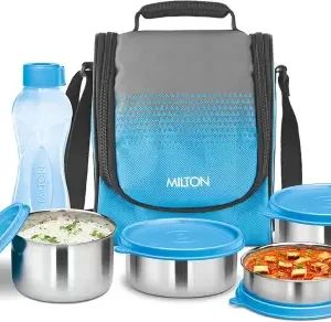 MILTON Tasty Lunch 4 Combo 4 Containers Lunch Box