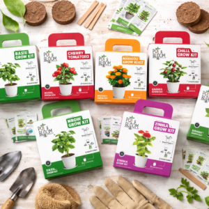 Pot & Bloom Festive Pack – eco friendly employee gifts
